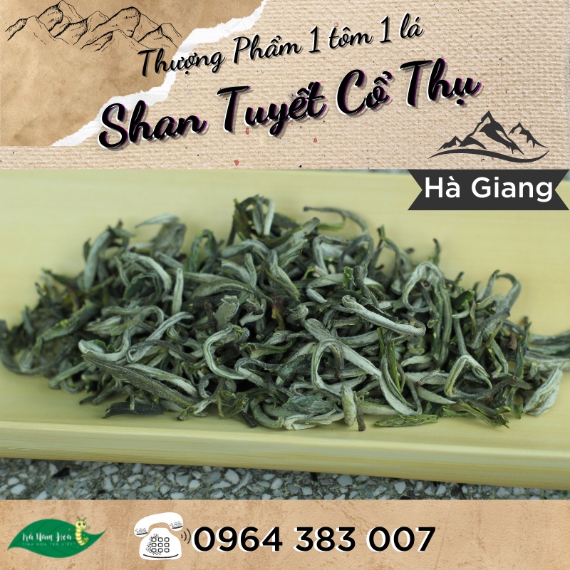 100g trà shan tuyết cổ thụ thượng phẩm 1 tôm 1 lá