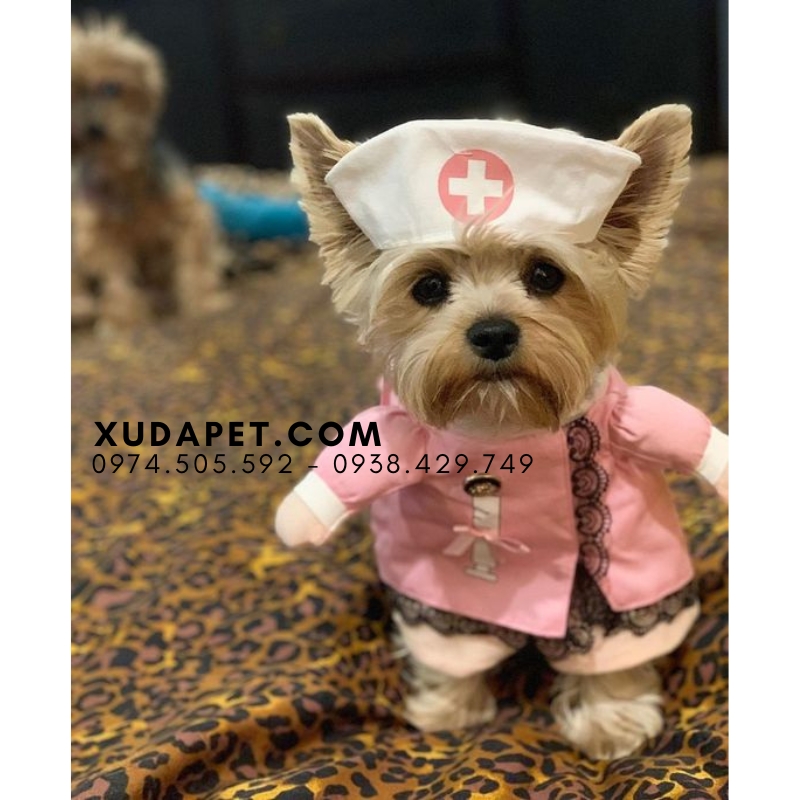 Áo Cosplay Y Tá Cho Chó Mèo - SP006019nurse