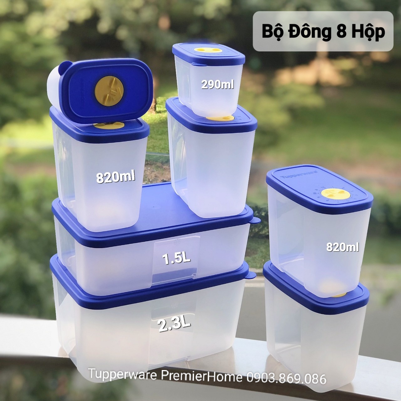 Bộ Hộp Trữ Đông Tupperware Colorful 8 Hộp