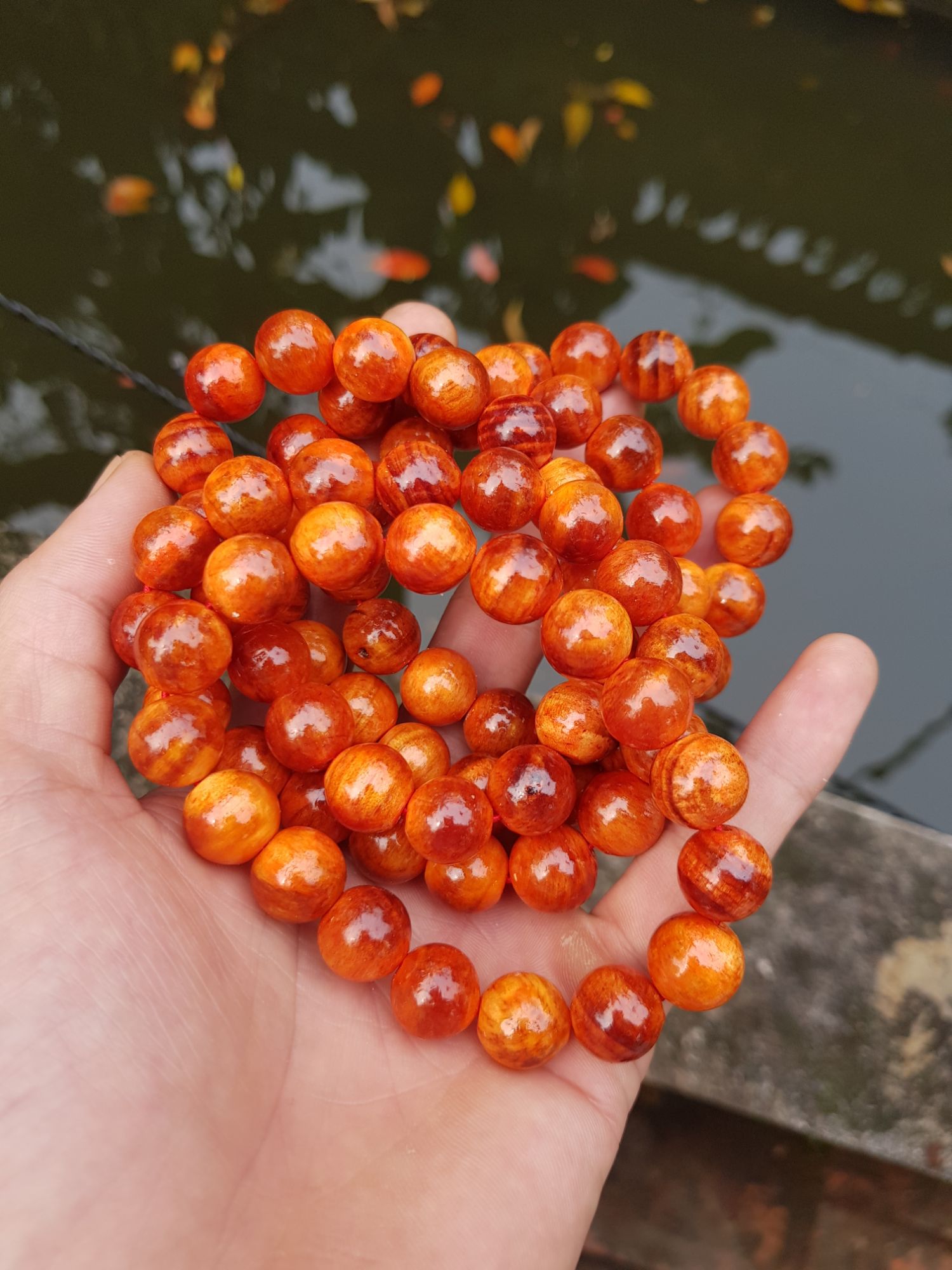 Vòng đeo tay phong thủy gỗ Huyết Long 12li