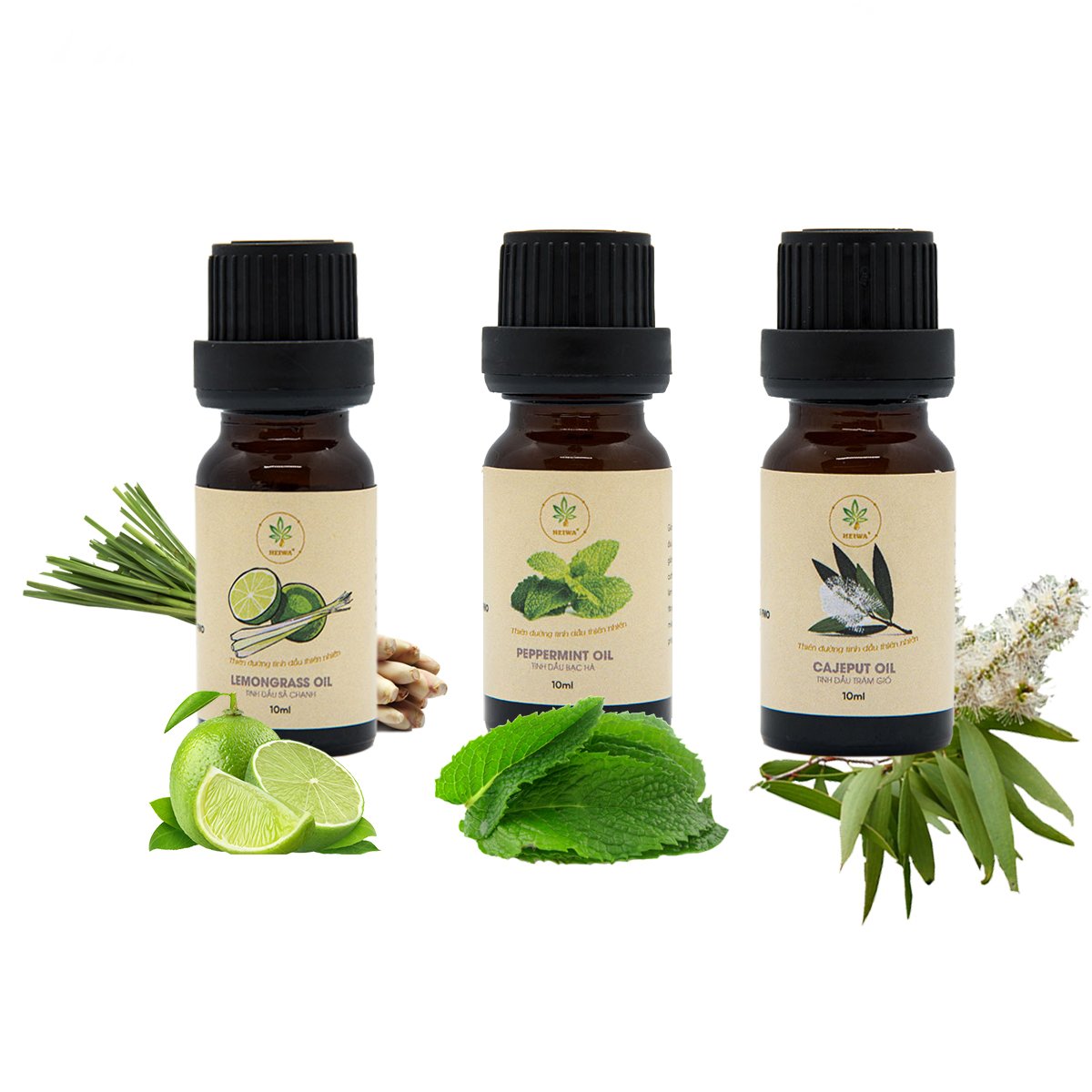 Combo 3 lọ tinh dầu dung tích 10ML( sả chanh + bạc hà + tràm gió) đuổi muỗi, côn trùng còn giúp thơm phòng thương hiệu HEIWA hấp dẫn hiện nay.
