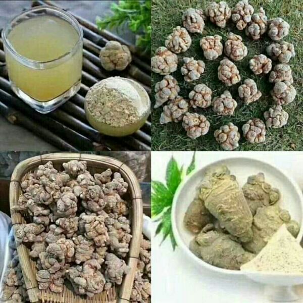 500g bột tam thất bắc