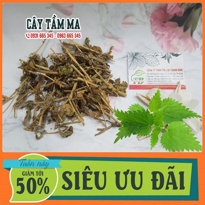 Cây Tầm Ma 500G Khô Hàng CTy Chất Lượng - Thảo Dược Thanh Bình