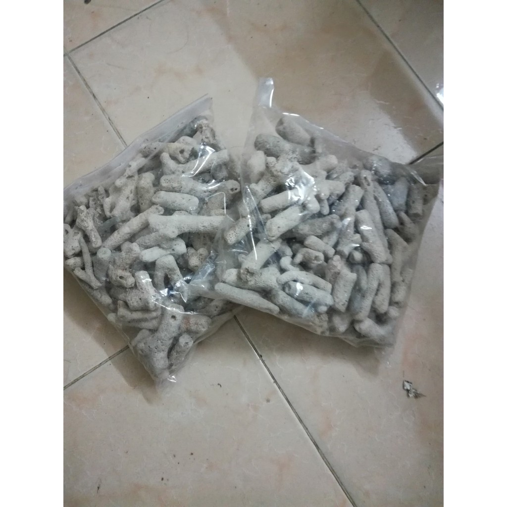 [HCM]COMBO 2KG SAN HÔ LỌC HỒ CÁ THẢ BỂ CÁ NHÀ HÀNG