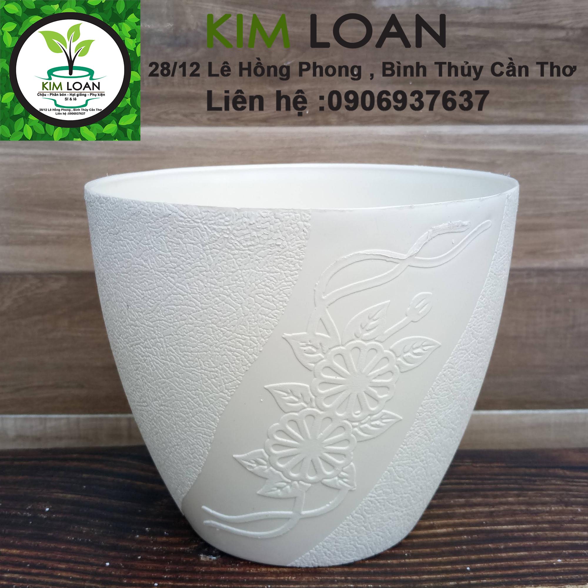 Combo 4 chậu trái táo trắng nhỏ 16x14cm