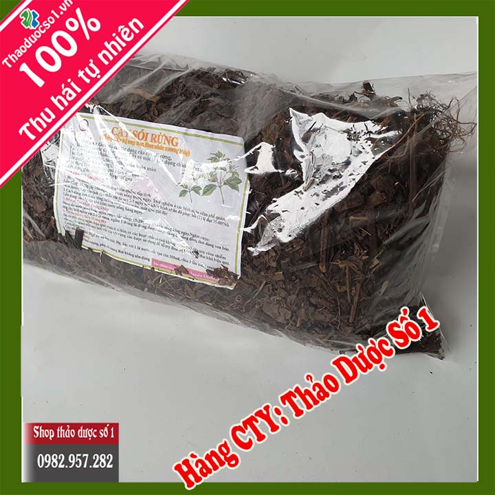 Cây sói rừng khô 1kg - hỗ trợ điều trị ung thư, xương khớp - tdso1