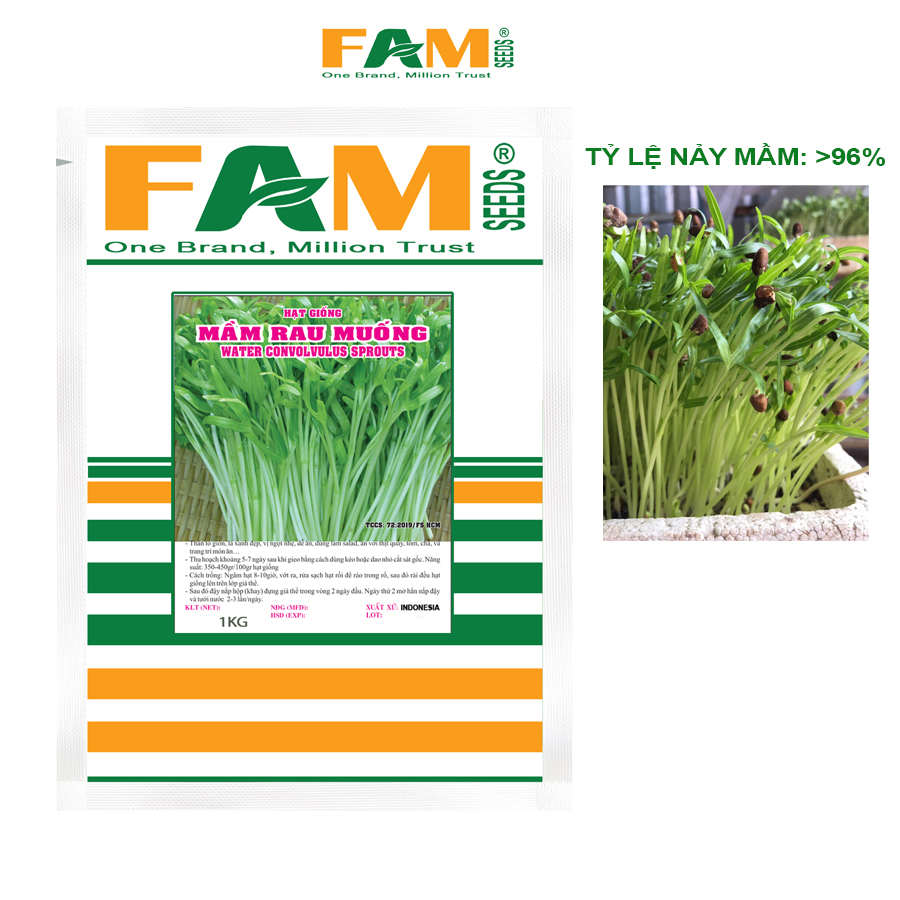 Gói 1Kg Hạt Giống Rau Mầm Rau Muống FAM SEEDS Xuất Xứ Indonesia - Nảy Mầm Khỏe, Năng Suất Cao, Mầm Mập Xanh, Ăn Giòn, Ngọt Mát