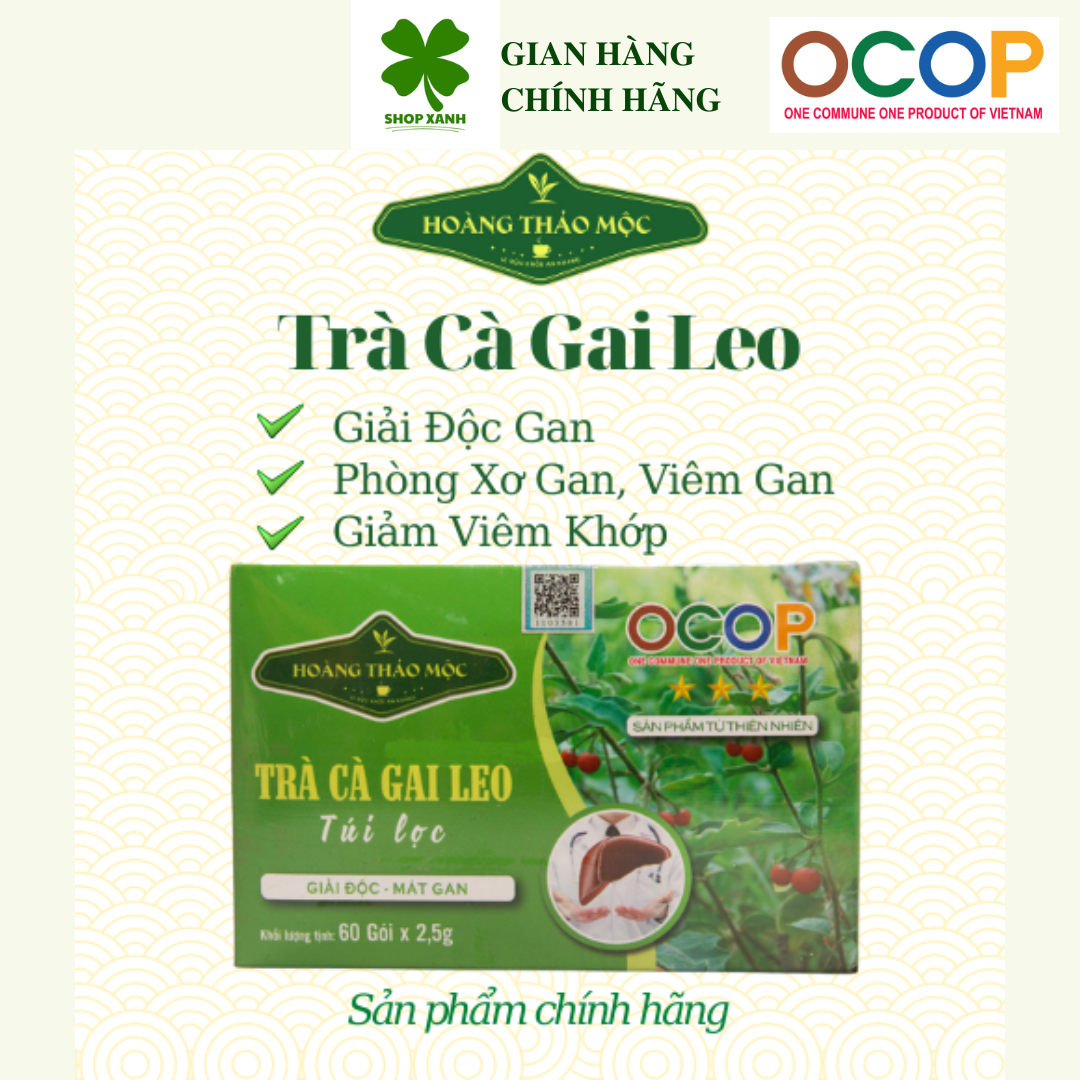 Trà cà gai leo túi lọc Hoàng Thảo Mộc 150g/hộp