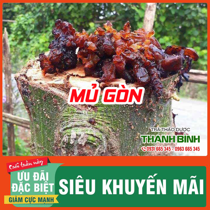 Mủ gòn 1kg - hàng công ty giá tốt