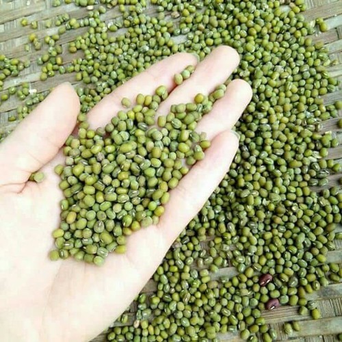 500g đậu xanh quê nguyên hạt