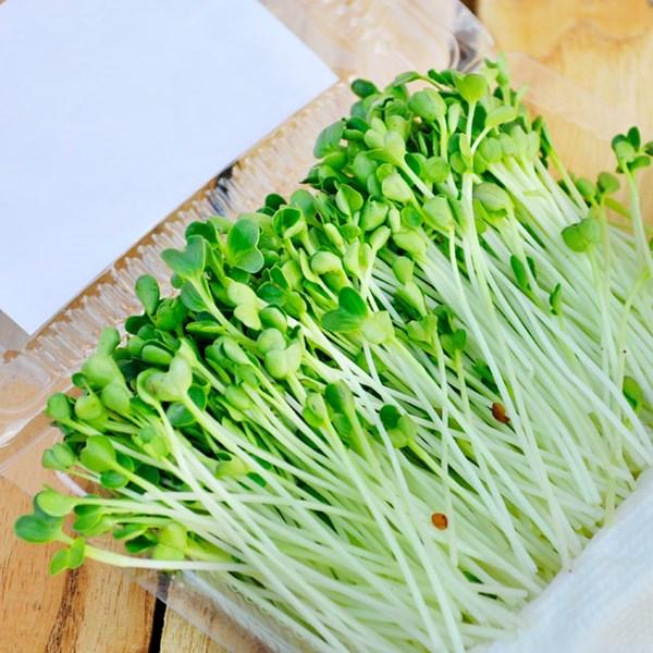 - Combo 3 gói Hạt giống rau mầm đậu hà lan