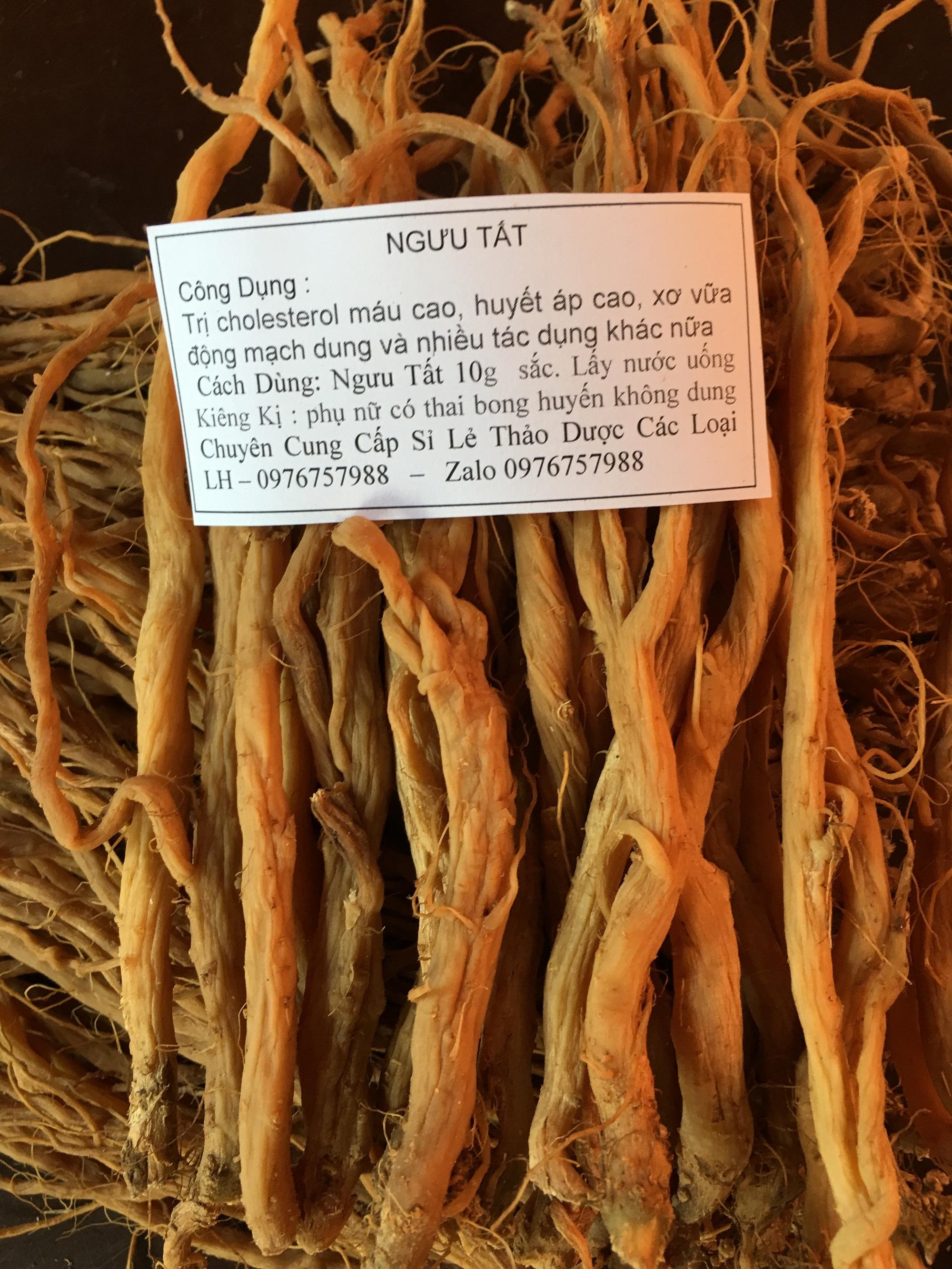 1kg  Ngưu Tất Nam Loại Tốt  -  có tặng Quà