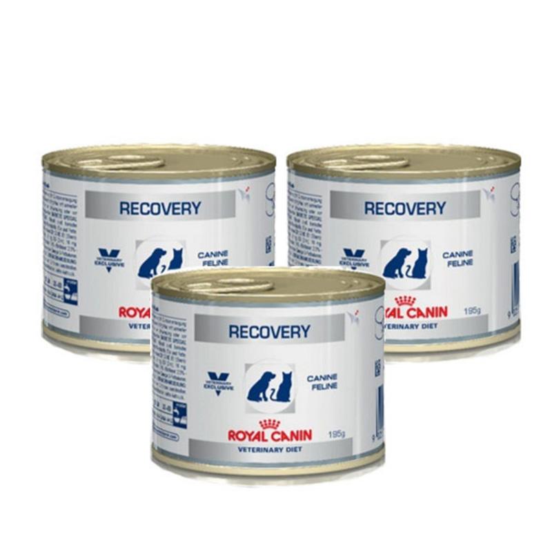 [Hoàn Tiền 10%] Thức ăn Pate cho chó mèo Royal canin Recovery 195g giúp phục hồi sức khỏe - Pate dinh dưỡng cho thú cưng phục hồi sức khỏe