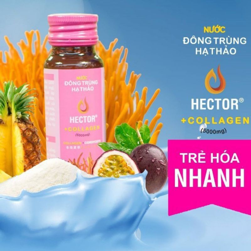 Hector collagen hồng chính hãng hộp 10 chai - Vy Vy Home