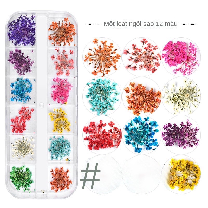 Hoa khô nail làm nail dán móng tay