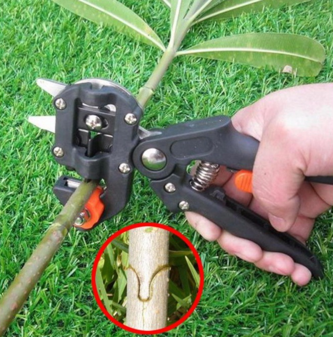 [HCM]Kéo ghép cành cây chuyên dụng