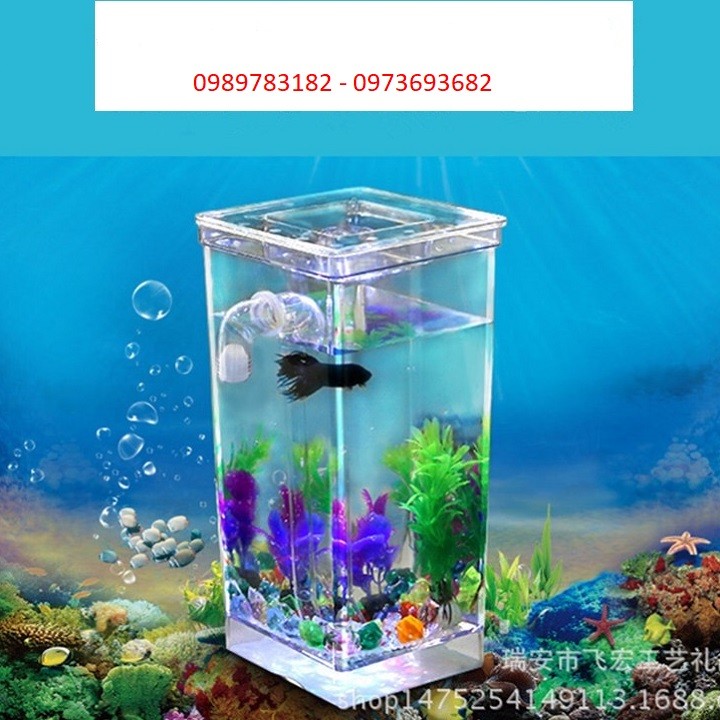 Bể cá mini - bể cá mini thay nước thông minh có đầy đủ phụ kiện