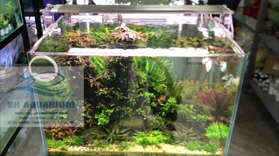 [HOÀN TIỀN 10%]ĐÈN LED WEEK RAPTOR RGB D120CM