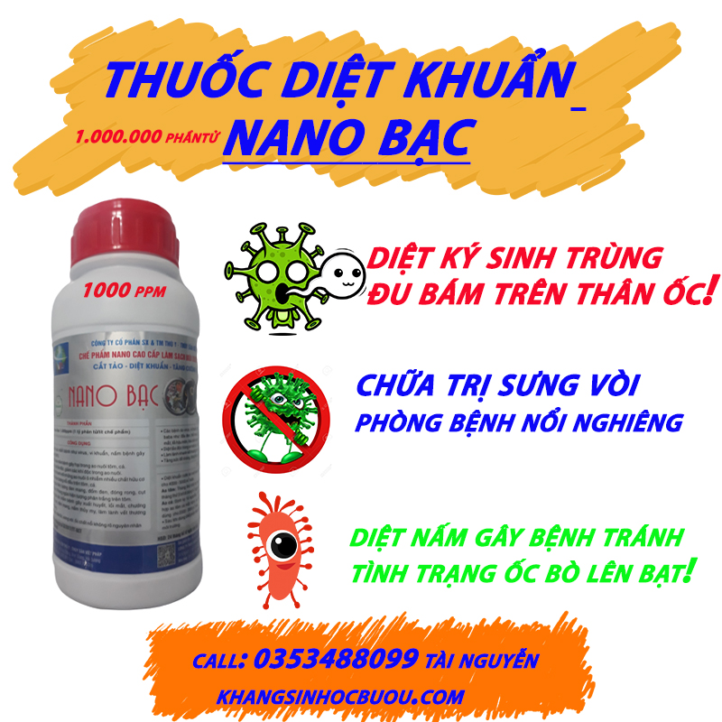 NANO BẠC DIỆT SẠCH NẤM VI KHUẨN  GIÚP AO NUÔI SẠCH VIRUS NANO BẠC CÒN GIÚP HẠN CHẾ BỆNH MÒN VỎ SƯNG VỒI Ở ỐC  VÀ NANO BẠC HẠN CHẾ   NỔI NGHIÊNG Ở ỐC THUỘC CÔNG TY VIỆT PHÁP(  CHO ỐC CÁ ẾCH LƯƠN )