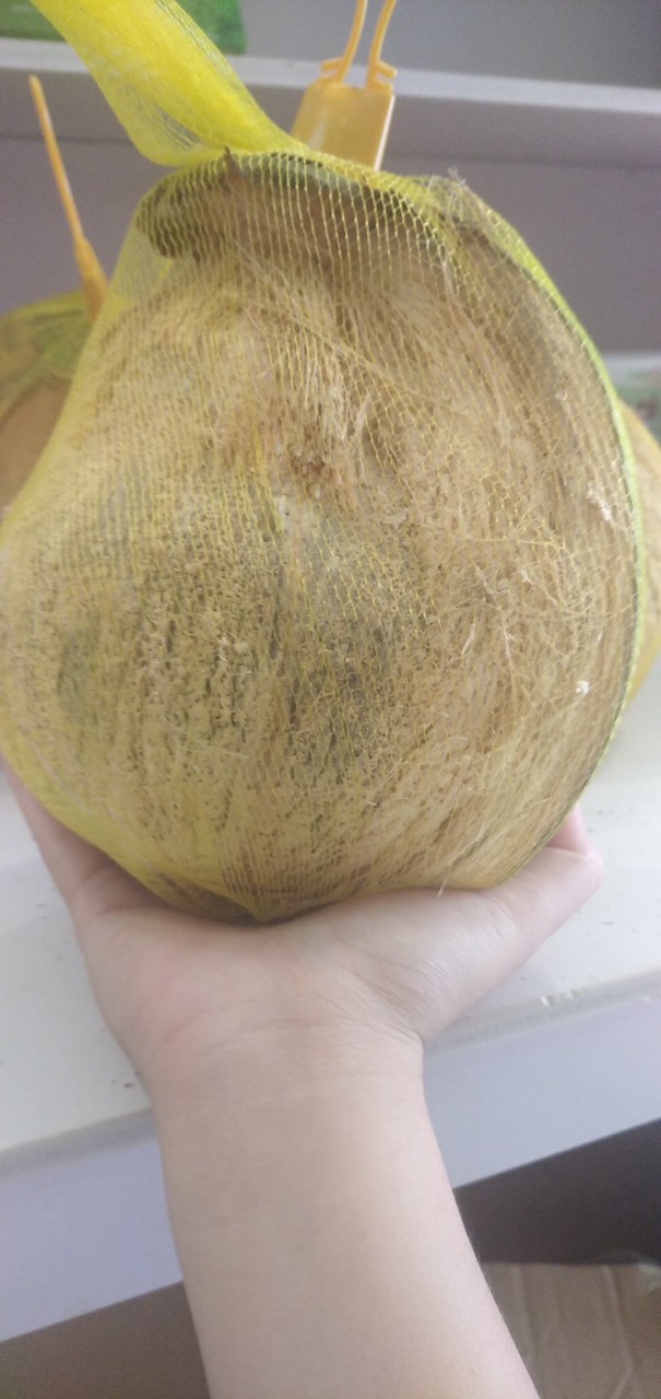Dừa sáp loại 2 cơm đặc, ngon