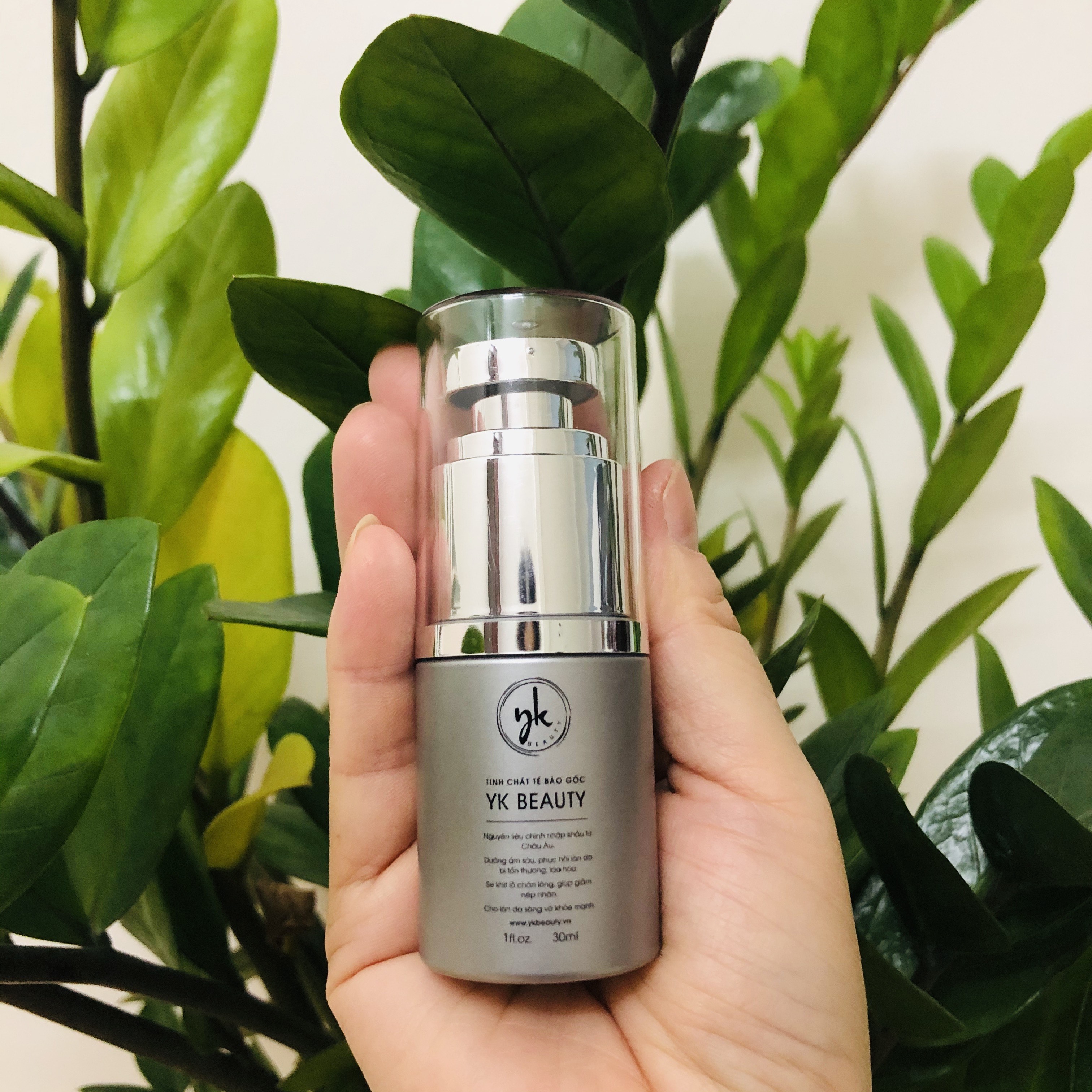 TINH CHẤT TẾ BÀO GỐC AMPOULE