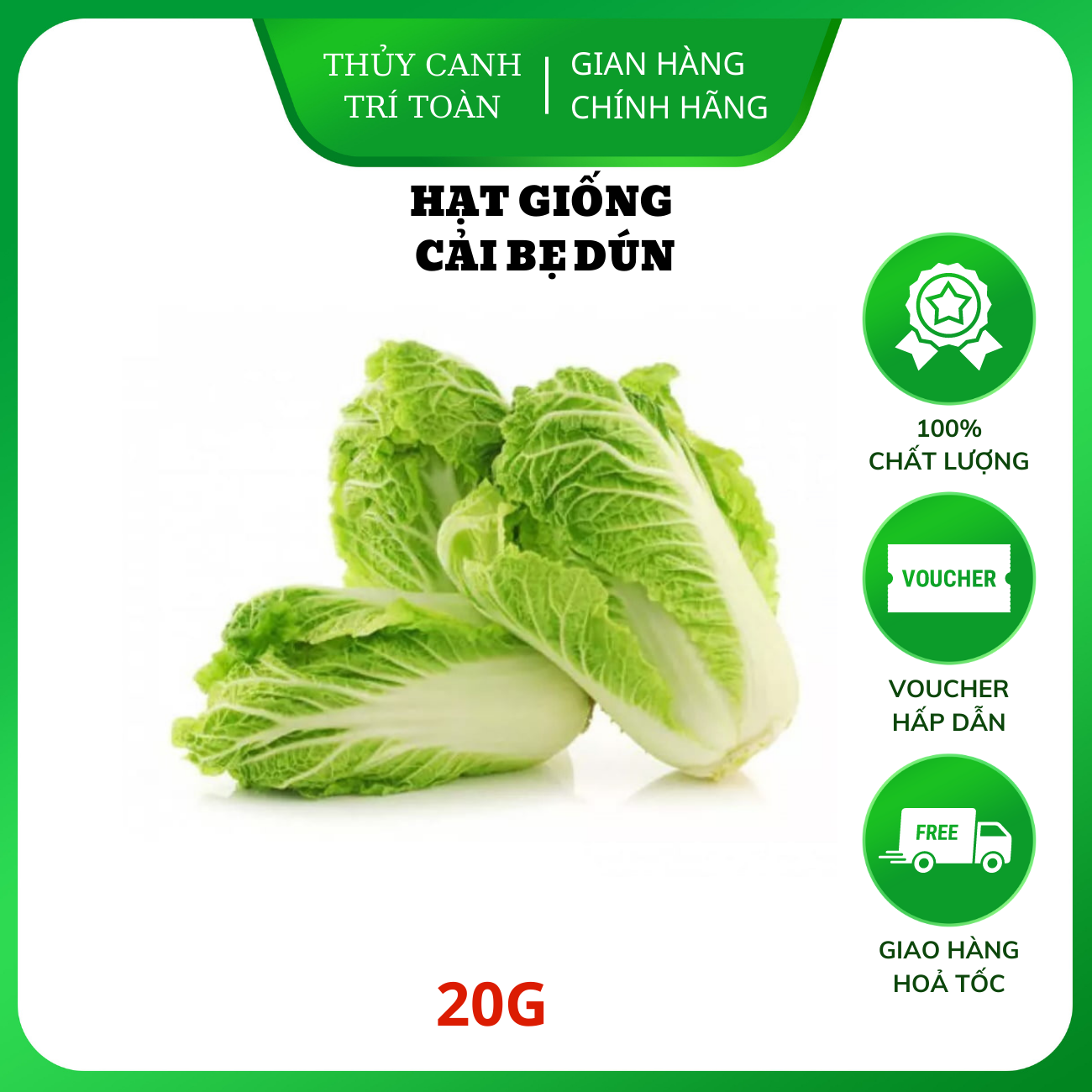Hạt giống Cải Bẹ Dún giòn ngọt, nhanh thu hoạch, dễ trồng - Hạt giống Rạng Đông