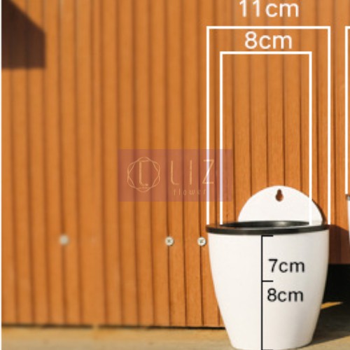 Chậu Treo Tường Trồng Cây Thuỷ Sinh
