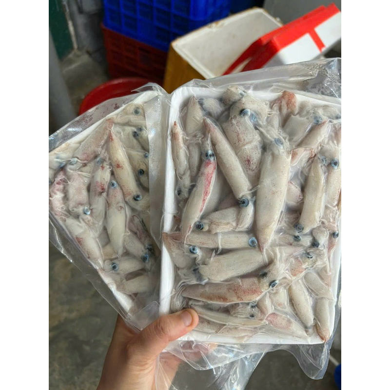 Mực sữa mini tươi ngon - BỊCH 1kg (giao tphcm)