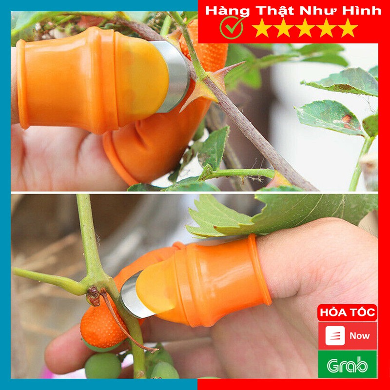 Bộ Móng Tay Nhặt Rau Củ Quả Chống Bẩn Móng Tay, Ngón Cái Bấm Cắt Rau Củ - Nạo Gọt Tiện Lợi
