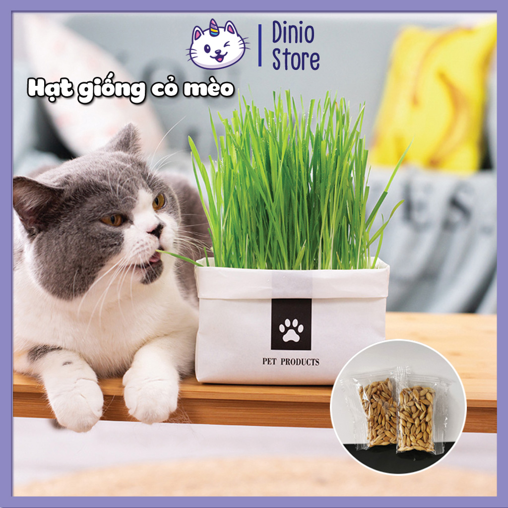 Hạt giống cỏ mèo Diniopet cung cấp chất sơ, hỗ trợ tiêu hóa cho Boss