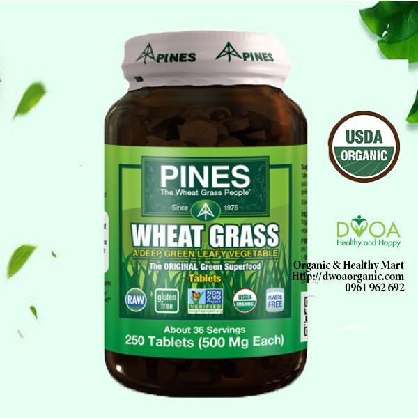 Viên cỏ lúa mì hữu cơ Pines 250 viên