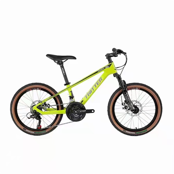 Xe đạp MTB Twitter TW2000 PRO bánh 20 inch