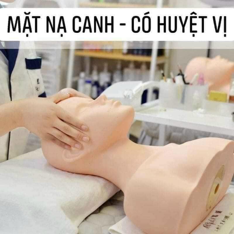 Đầu manocanh học massage, manocanh nửa người, manocanh vai gáy học massage, bấm huyệt