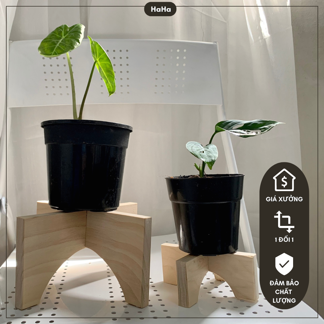 Đôn Gỗ Đặt Chậu Cây Chân Gỗ Để Cây Cảnh CCG11
