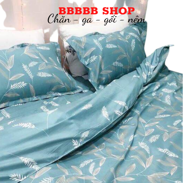 Bộ ga cotton 4 món Hàn Quốc