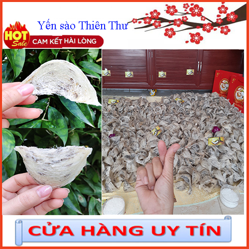 Tổ Yến Sào Thô loại VIP nặng 7-8gr Tặng kèm Nhíp và nguyên liệu chưng yến