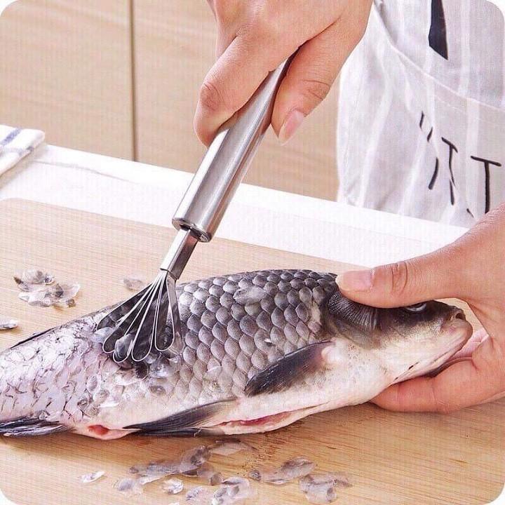 Cây đánh vảy cá - cây đánh vẩy cá