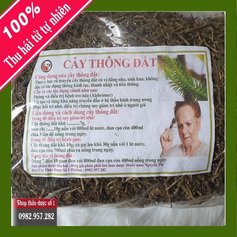 Cây Thông Đất Hỗ Trợ Điều Trị bệnh mất trí nhớ, hay quên, lú lẫn người già - 1kg SP CTy Thảo Dược Số 1