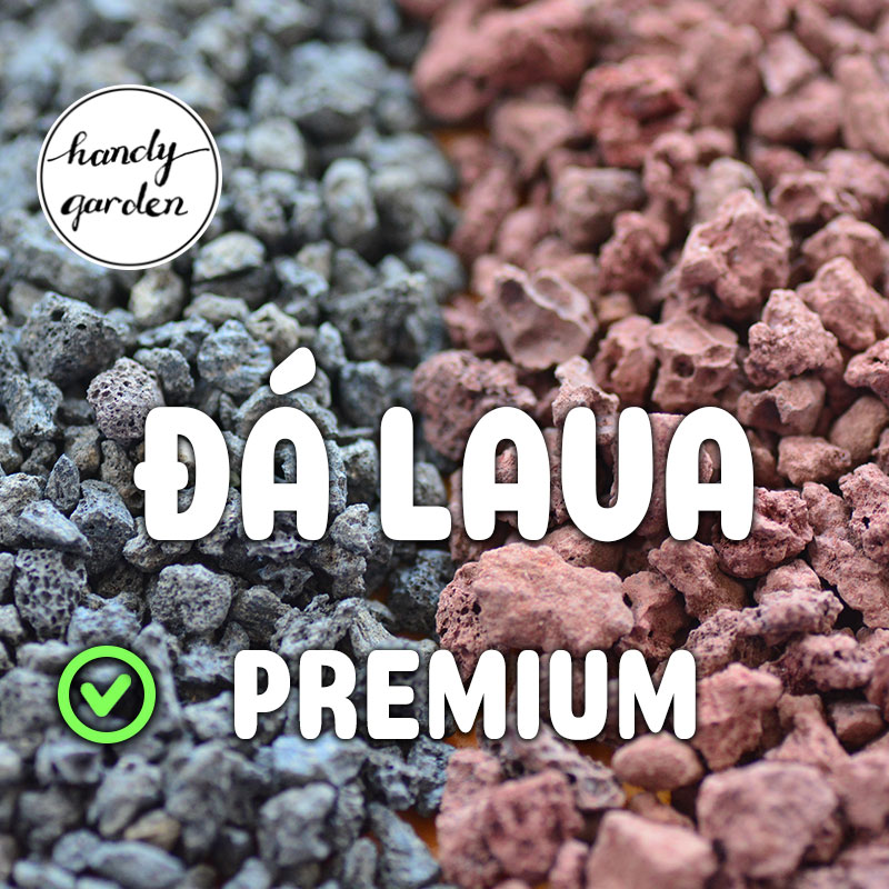 Đá LAVA Premium sạch bụi vụn, chuẩn kích thước 0.5-1mm, 1-3mm, 2-5mm, 5-9mm, đá nham thạch tổ ong rải mặt chậu sen đá, xương rồng, trải nền hồ thủy sinh | HandyGarden