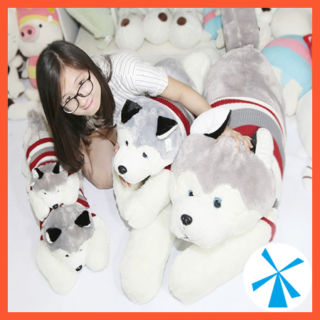 Gấu bông chó bông xù alaska husky 50cm đẹp giá rẻ