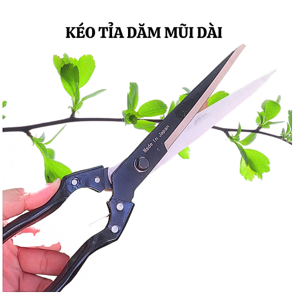 Kéo cắt tỉa cành cây kéo tỉa dăm mũi nhọn dài 24-34cm