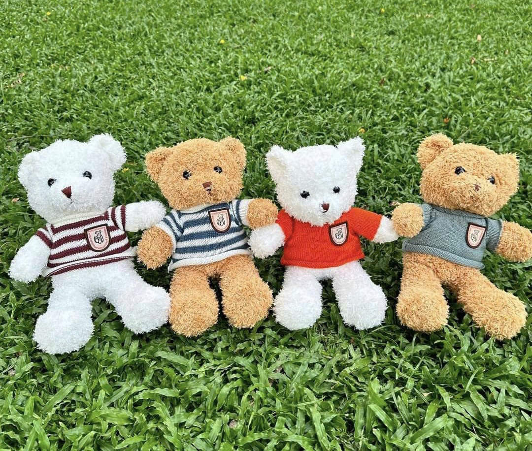 Gấu bông thú nhồi bông teddy cao cấp mặc áo siêu yêu