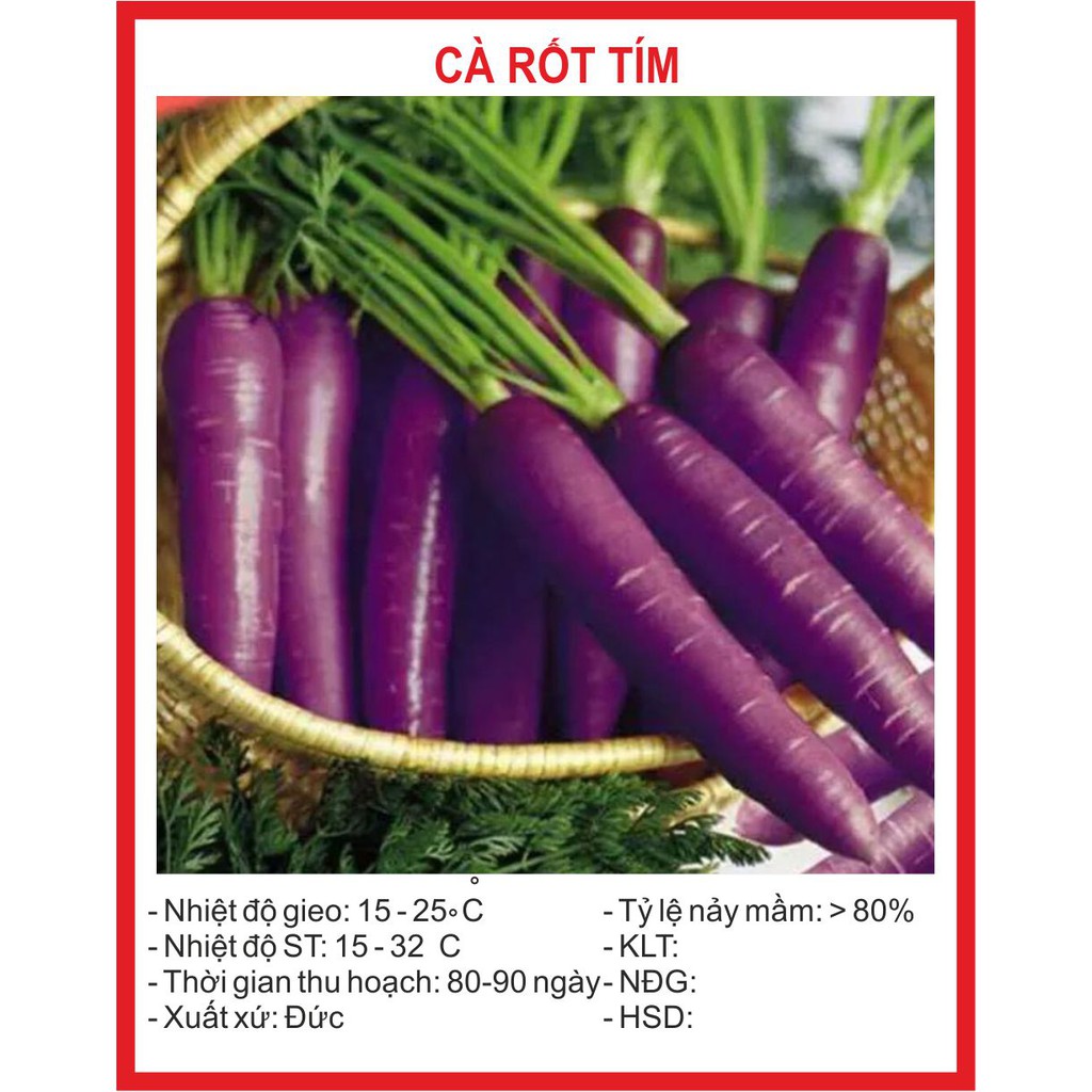 Hạt giống Cà Rốt Tím 0.1Gram ~ 100 Hạt