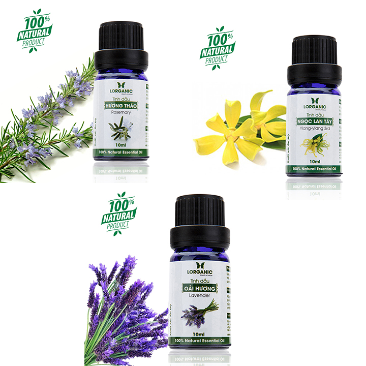 Bộ 3 tinh dầu hương hoa lorganic: ngọc lan tây + oải hương + hương thảo