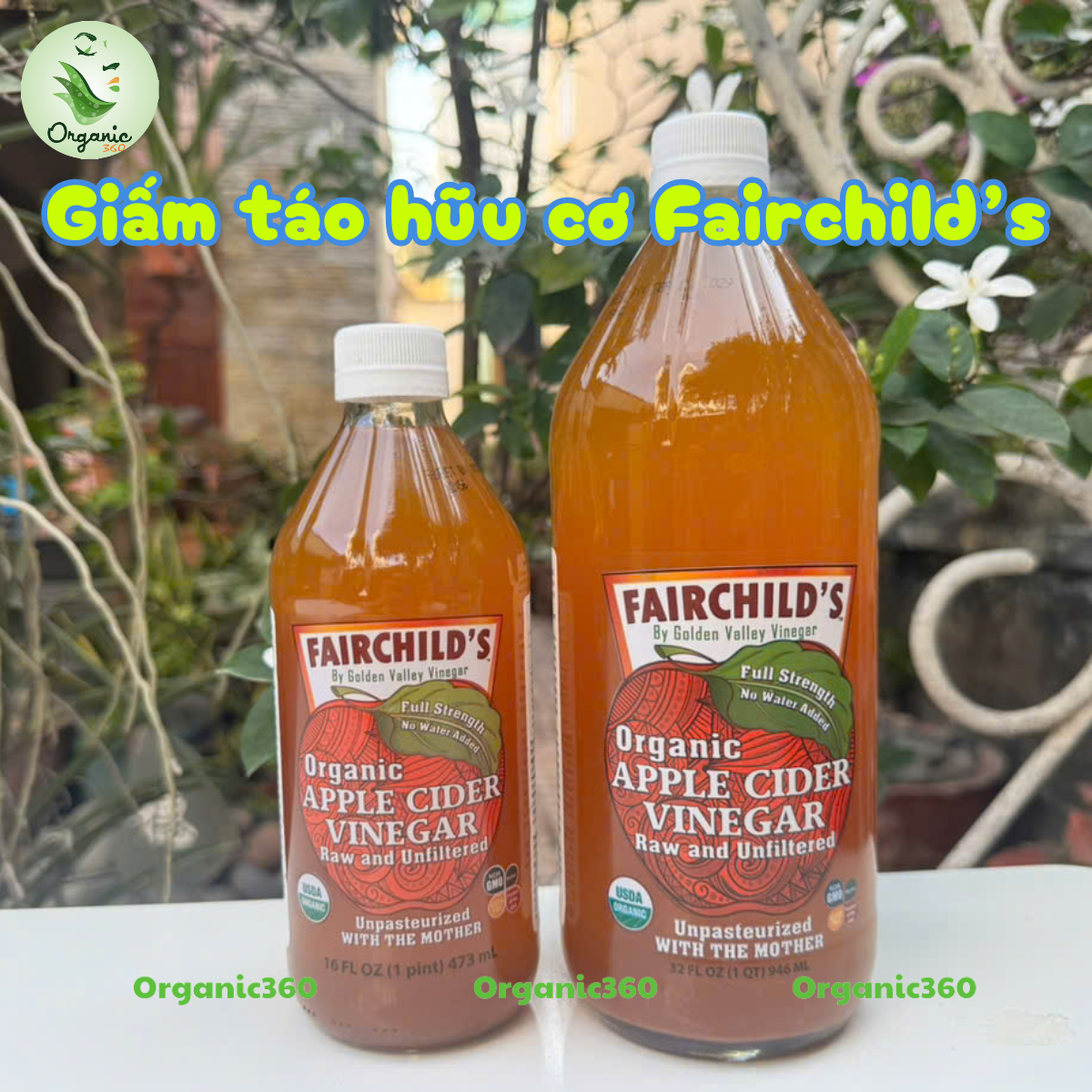 Giấm Táo Hữu Cơ FAIRCHILD'S Hàng Mỹ Organic Apple Cider Vinegar ACV 473ml 946ml