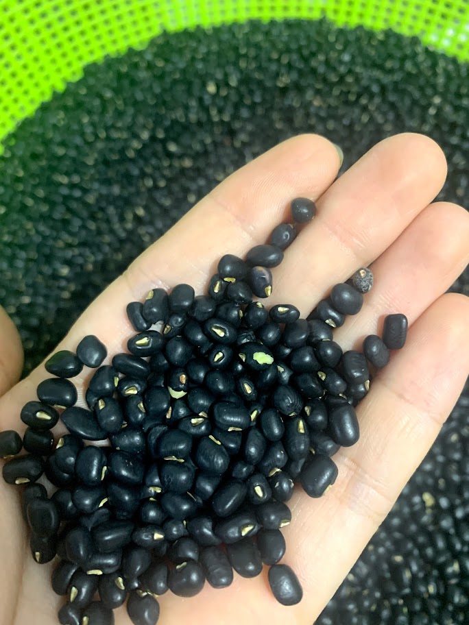 500gr Đậu đen xanh lòng hạt nhỏ