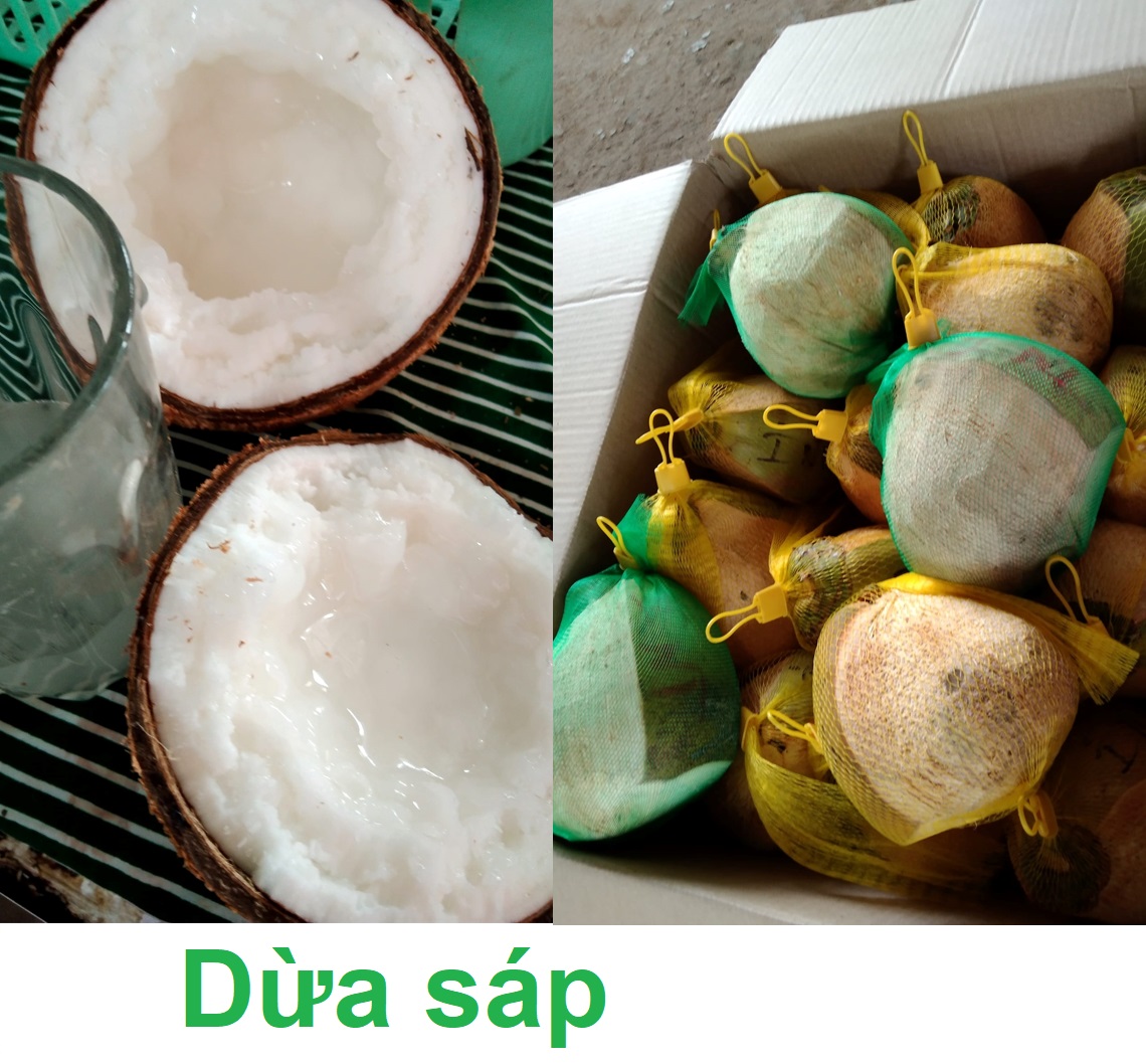 🌴 dừ....a s .á . p loại đặc biệt