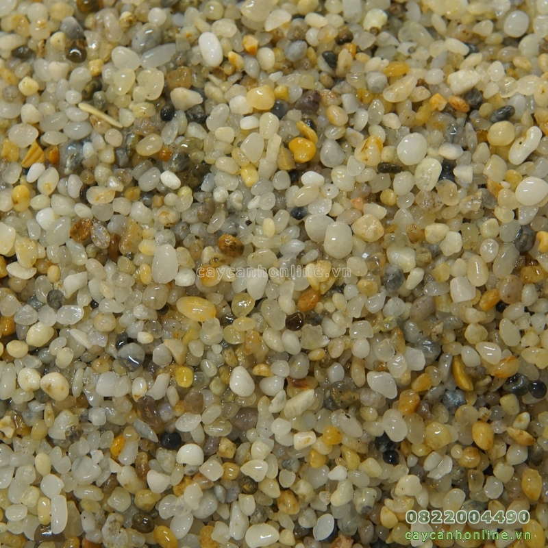 1kg sỏi biển trang trí tiểu cảnh chậu cây cảnh mini