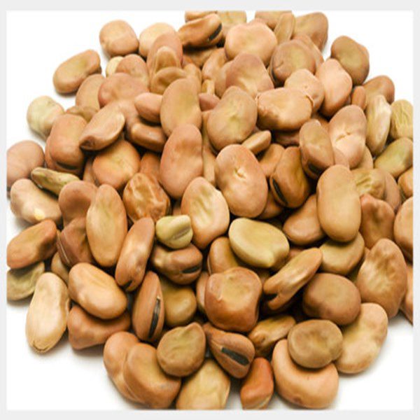 Fava beans (500g)