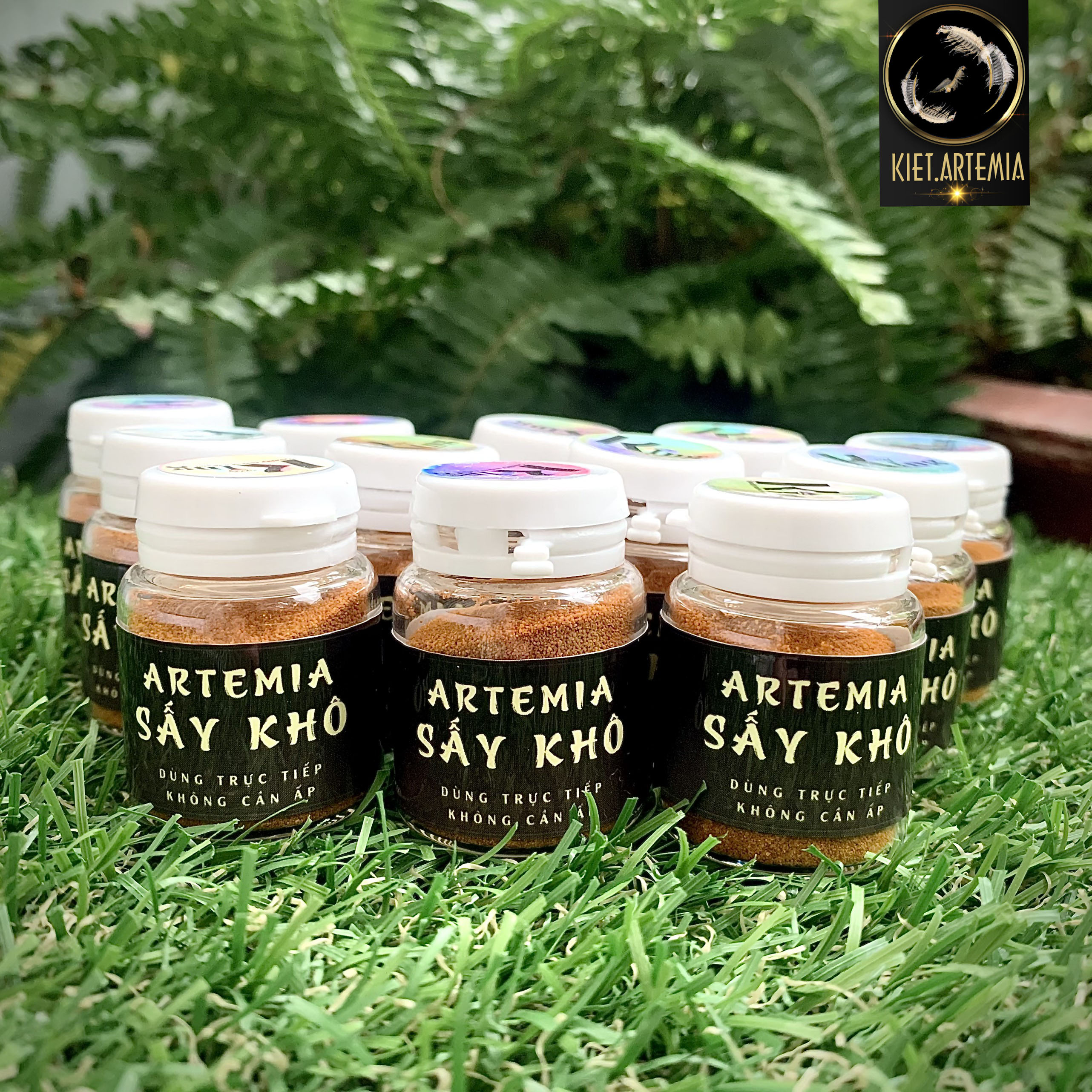 Artemia sấy khô, thức ăn dinh dưỡng cho cá betta, guppy, neon - atermia sấy khô loại tốt